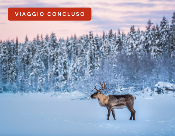 Tour Lapponia & Capo Nord (CONCLUSO)