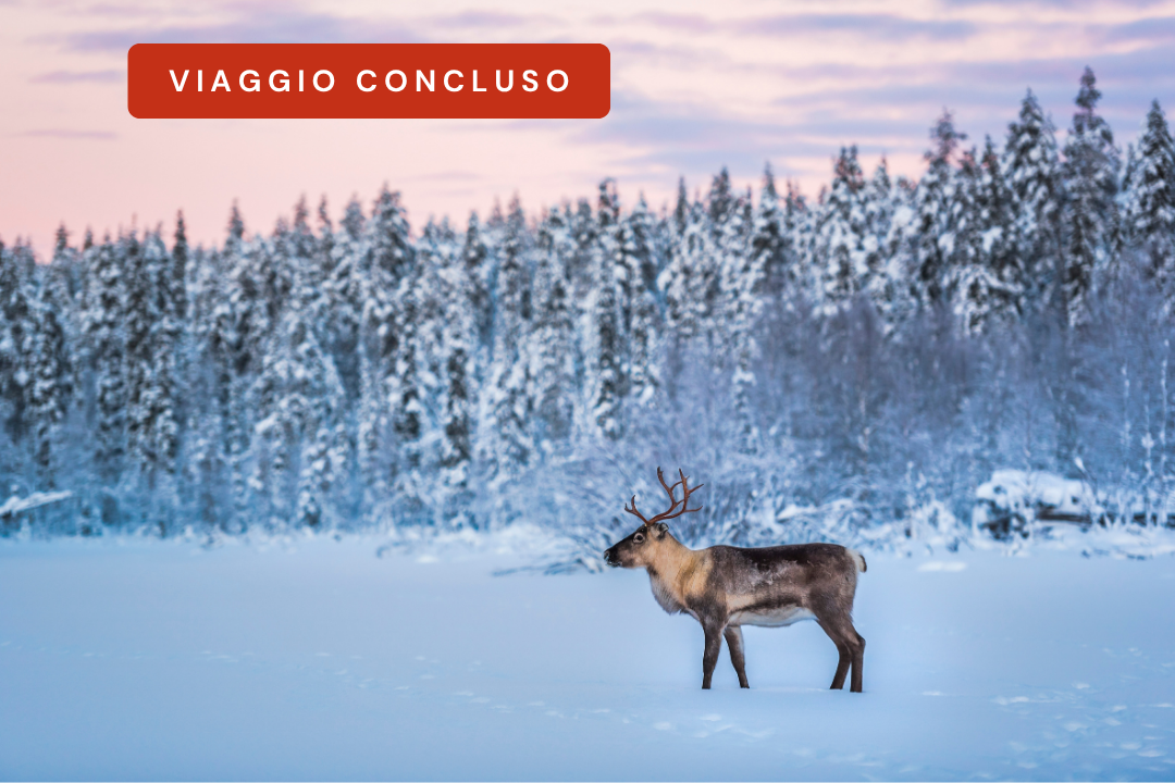 Tour Lapponia & Capo Nord (CONCLUSO)