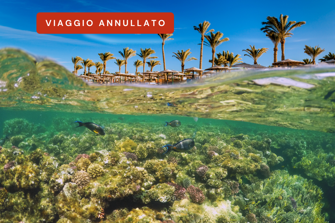 Vacanza a Sharm el-Sheikh (ANNULLATA)