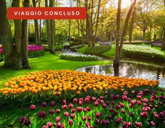 Tour Olanda: Amsterdam & Keukenhof (CONCLUSO)