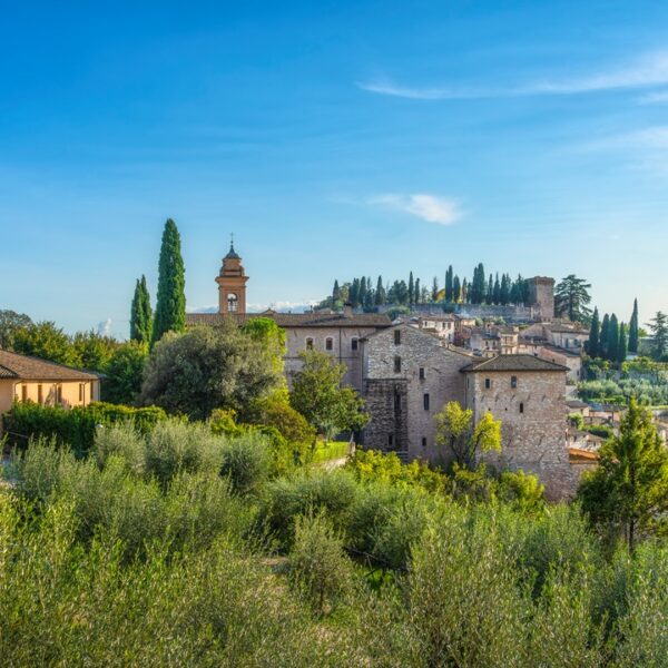Villaggio medievale di Spello, Umbria, circondato da ulivi