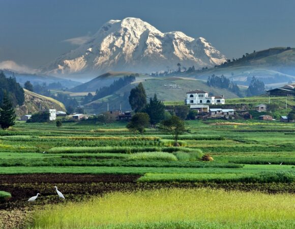 Gran Tour Ecuador: un’avventura indimenticabile tra Ande, Amazzonia e città coloniali