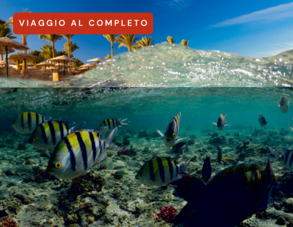 Vacanza a Marsa Alam (COMPLETO)