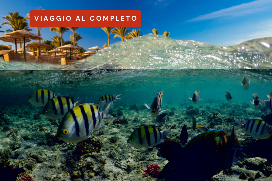 Vacanza a Marsa Alam (COMPLETO)