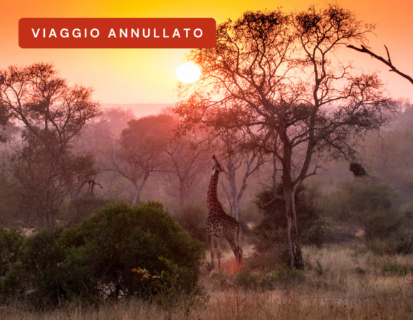 Tour privato Sudafrica (ANNULLATO)