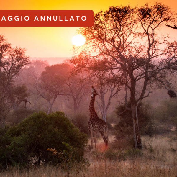 Tour privato Sudafrica (ANNULLATO)
