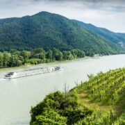 Fiume Danubio con crociera nella Valle del Wachau, Austria